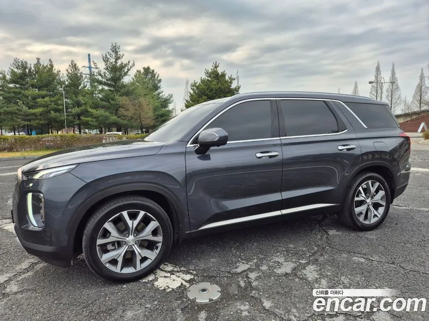 Hyundai Palisade — фото 10