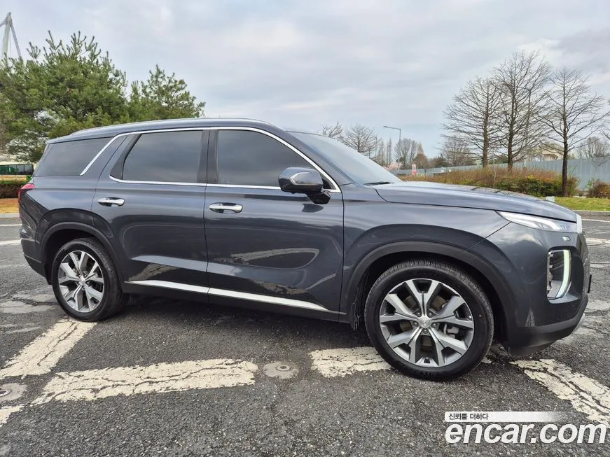 Hyundai Palisade — фото 8