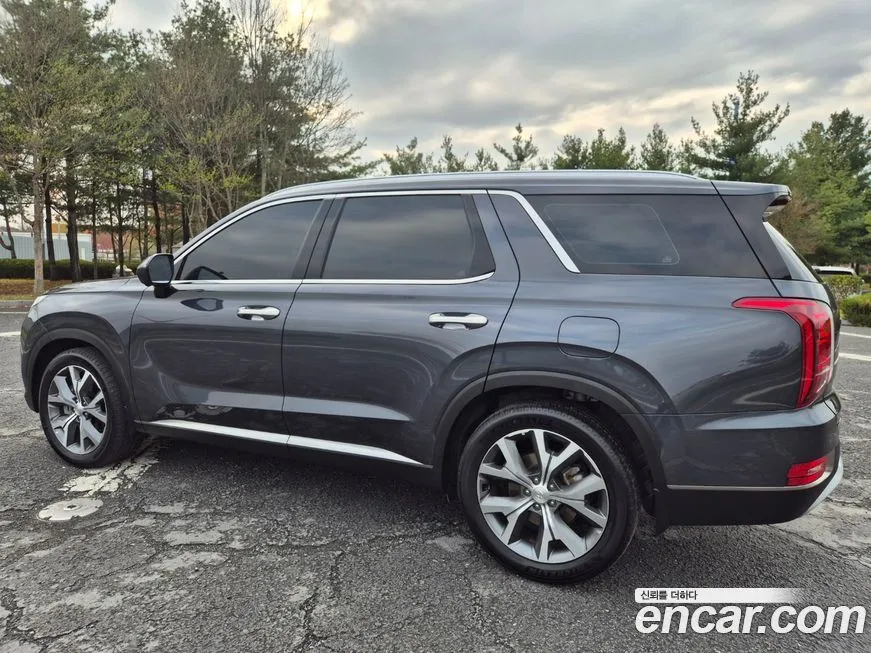 Hyundai Palisade — фото 7