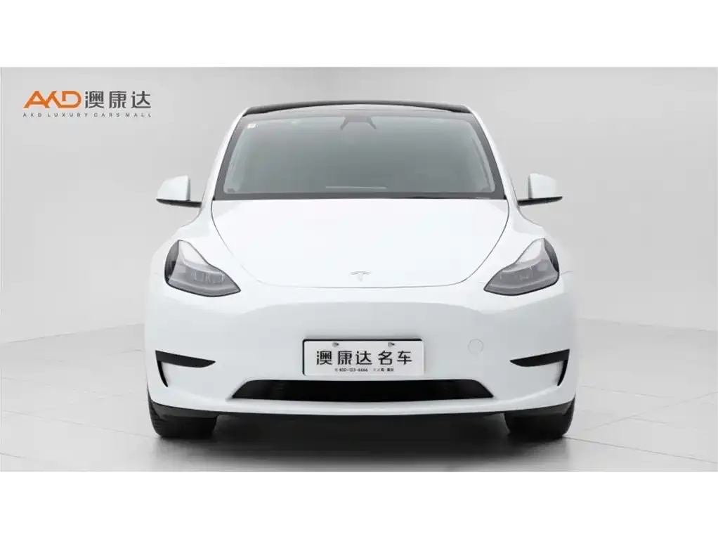 Tesla Model Y — фото 8