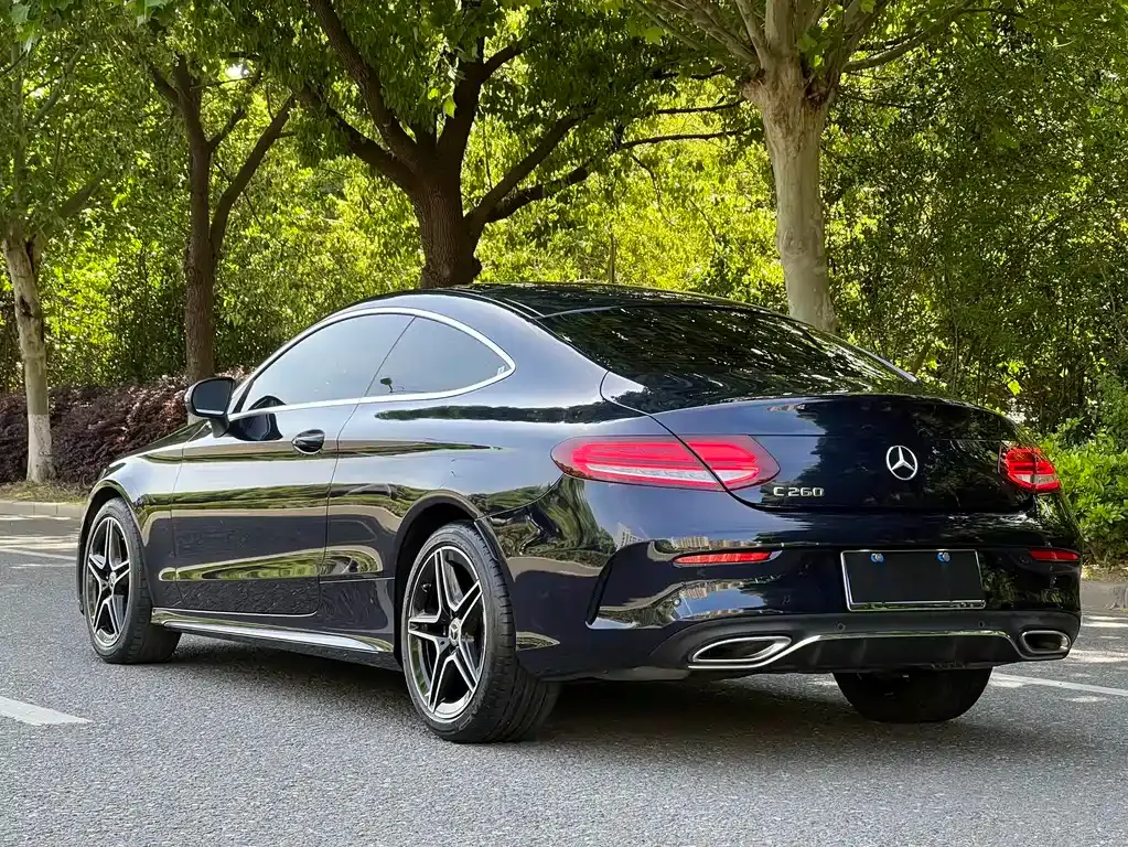 Mercedes-Benz C-Class (Import) — фото 10
