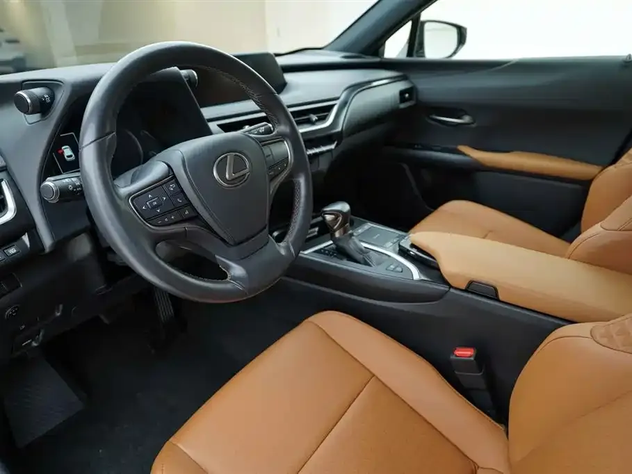 Lexus UX 2021 из CN, фото 8