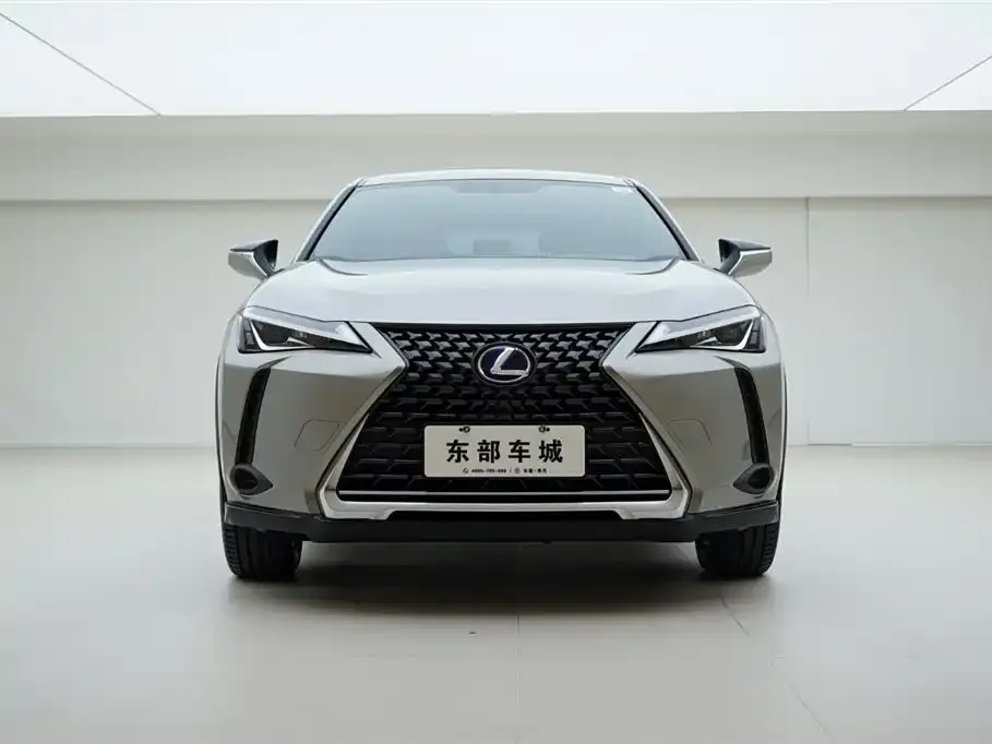 Lexus UX 2021 из CN, фото 2