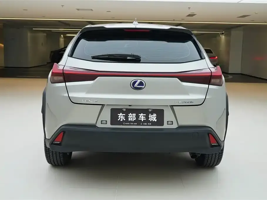 Lexus UX 2021 из CN, фото 3