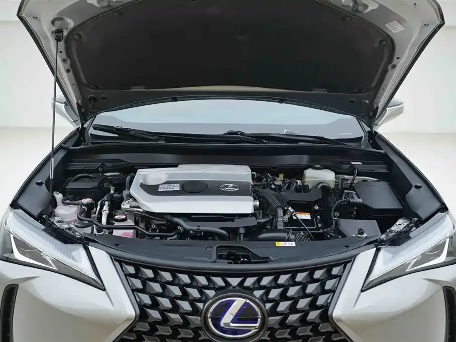 Lexus UX 2021 из CN, фото 9