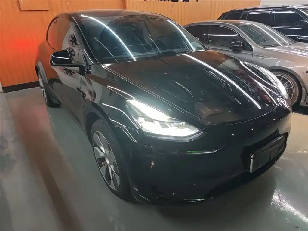 Tesla Model Y — фото 10