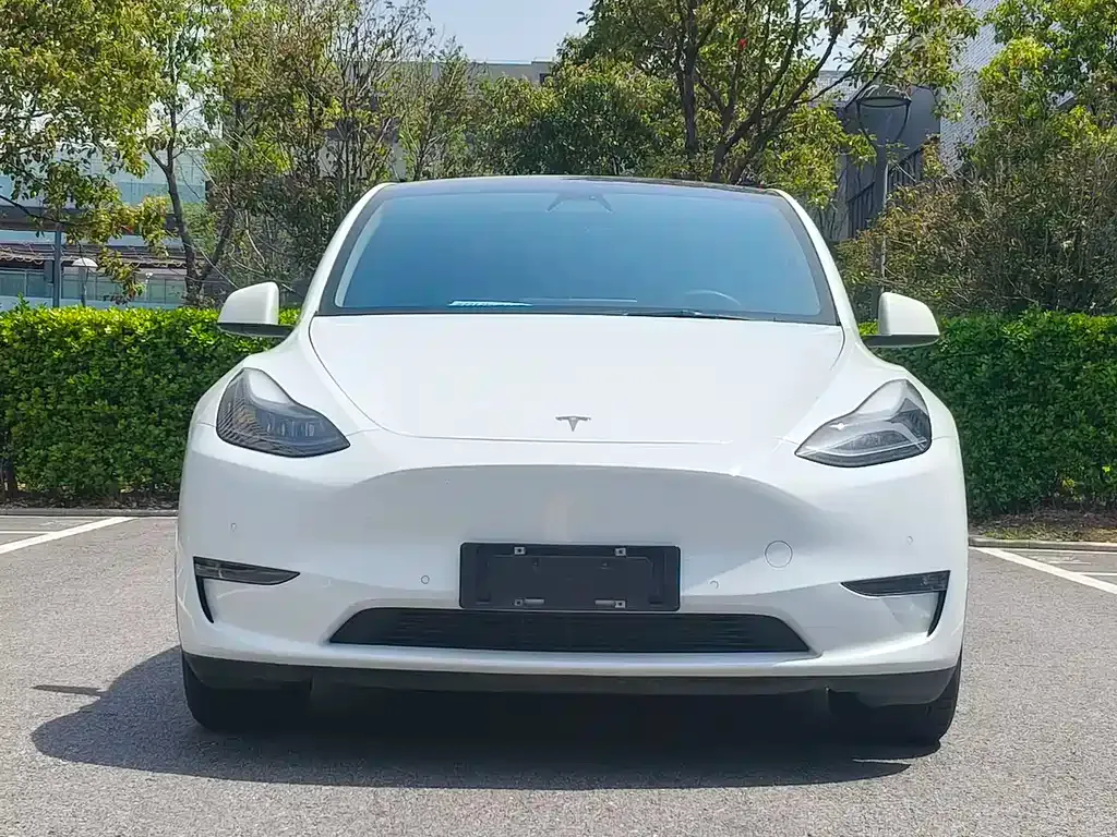 Tesla Model Y — фото 9