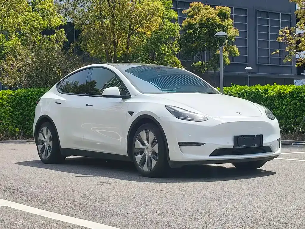 Tesla Model Y — фото 10