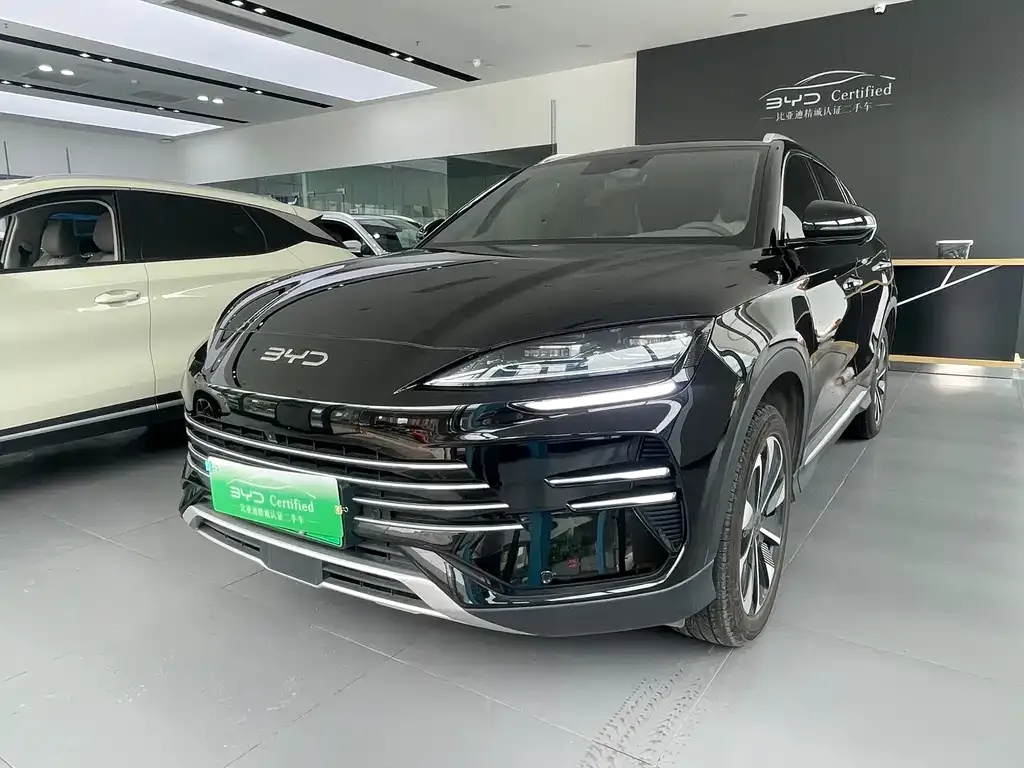 BYD PLUS New Energy — фото 1