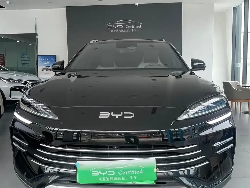 BYD PLUS New Energy — фото 8