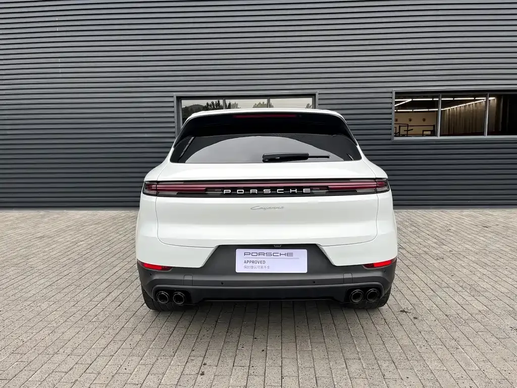 Porsche Cayenne — фото 10