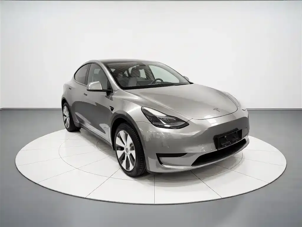 Tesla Model Y — фото 5