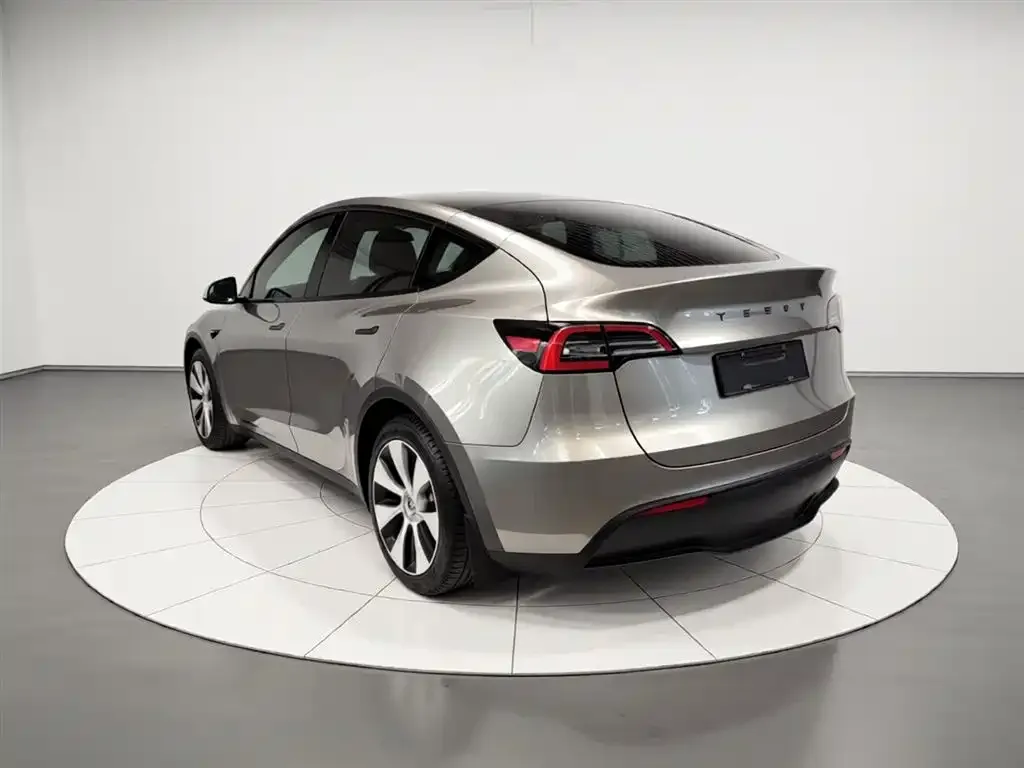 Tesla Model Y — фото 10