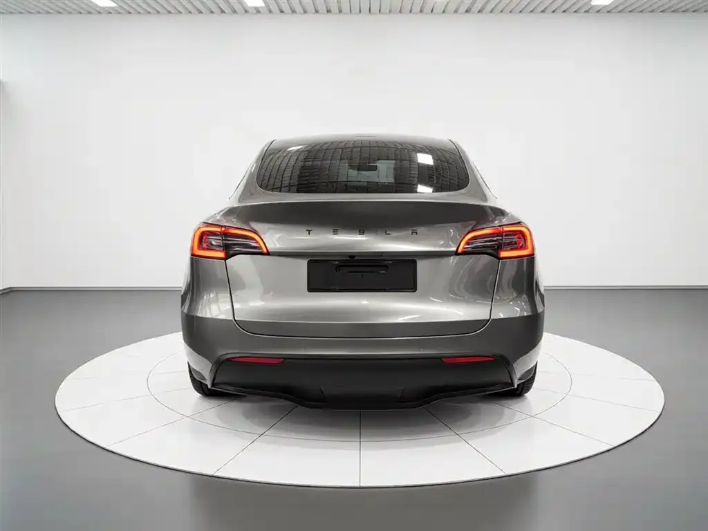 Tesla Model Y — фото 9