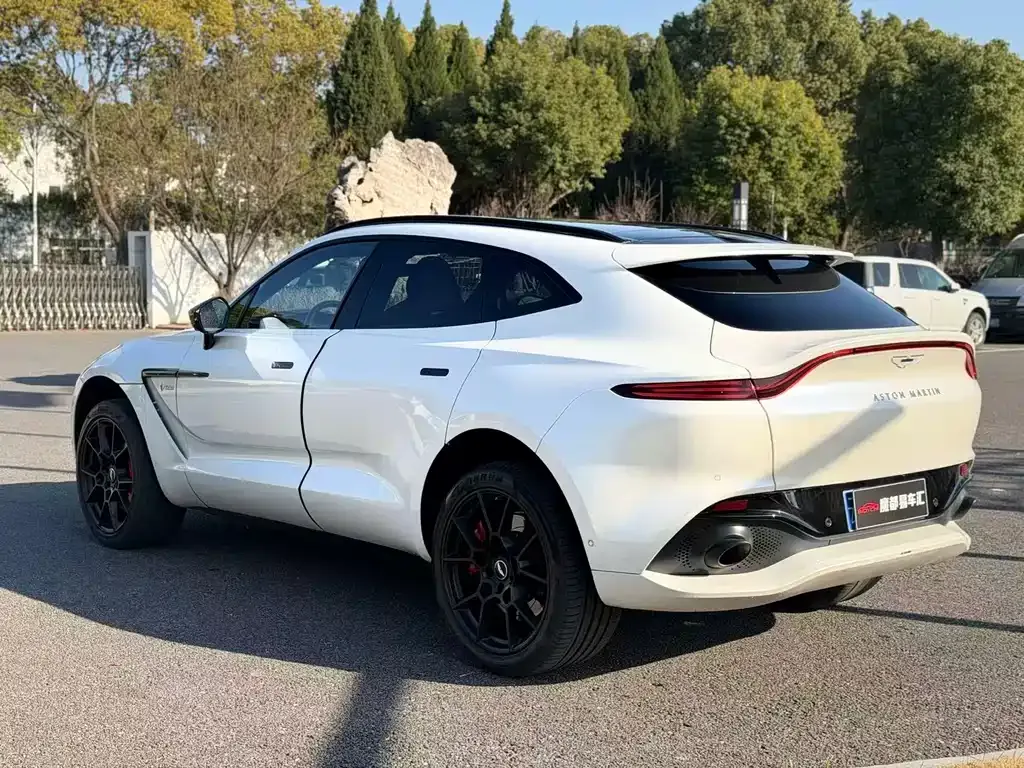 Aston Martin DBX 2021 из CN, фото 9