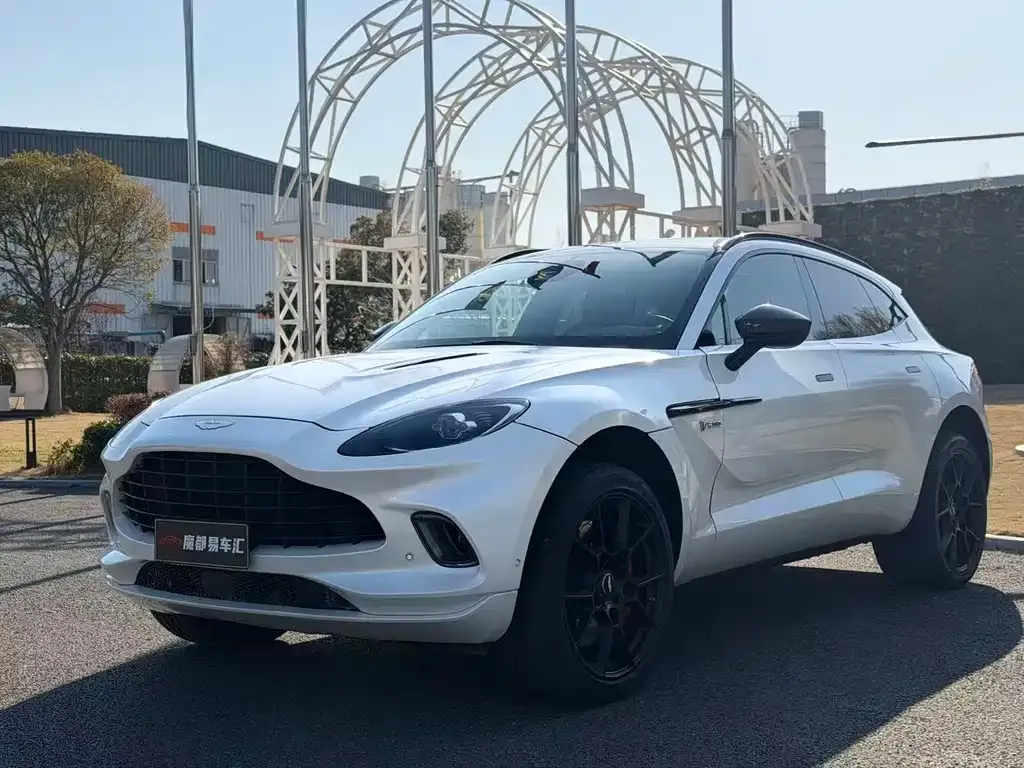 Aston Martin DBX 2021 из CN, фото 6