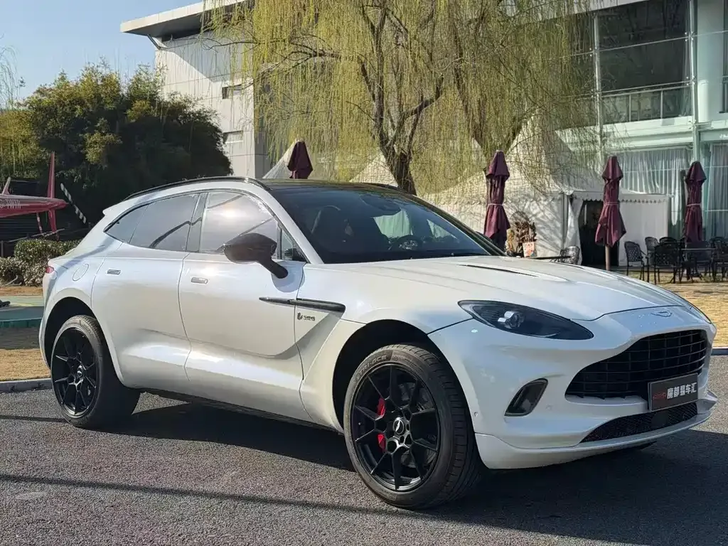 Aston Martin DBX 2021 из CN, фото 10