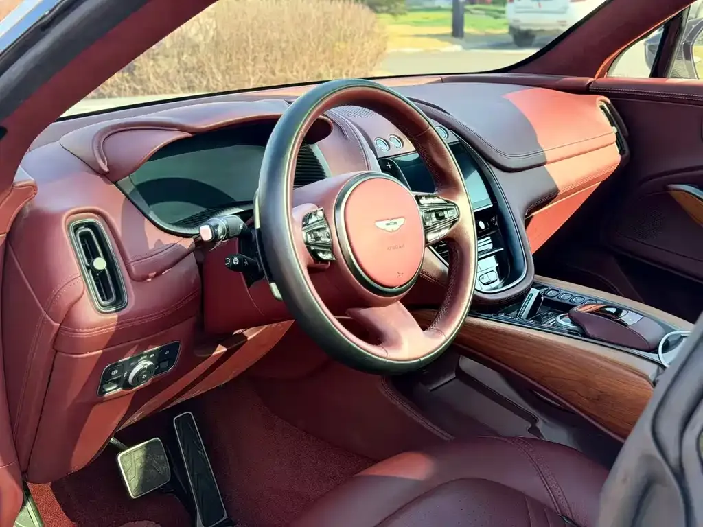 Aston Martin DBX 2021 из CN, фото 3