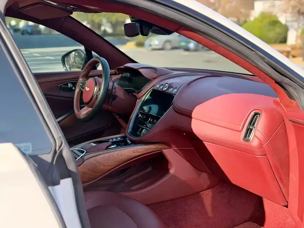 Aston Martin DBX 2021 из CN, фото 7