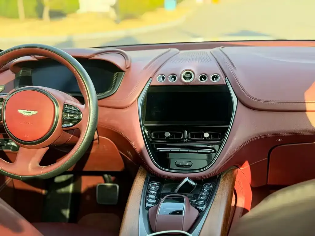 Aston Martin DBX 2021 из CN, фото 8