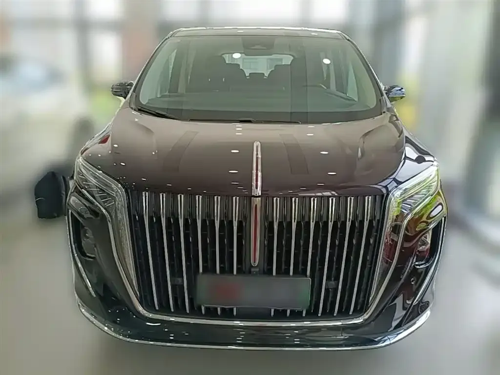 Hongqi HQ9 PHEV — фото 9