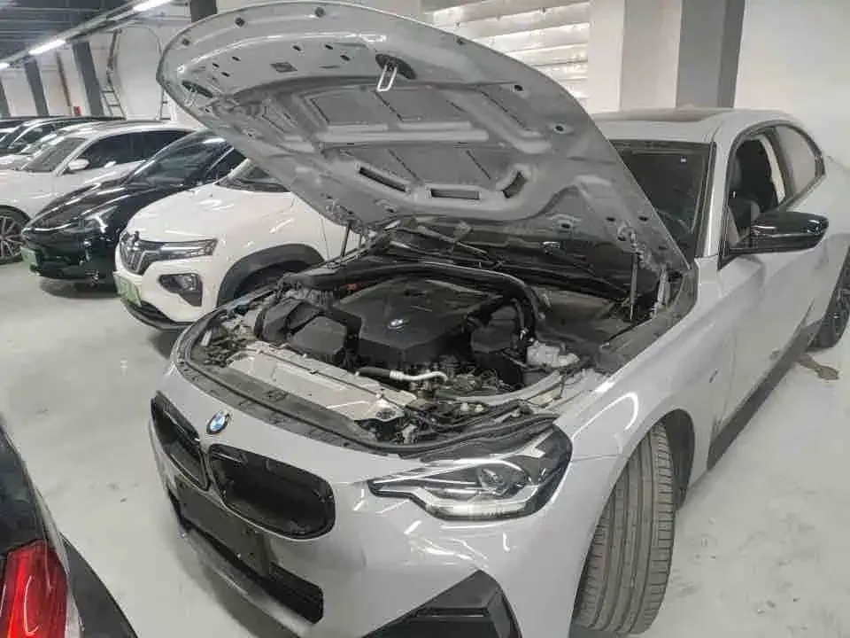 BMW 2 Series (Import) 2022 из CN, фото 8