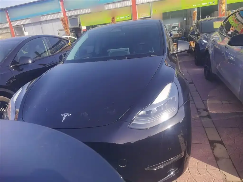 Tesla Model Y — фото 10