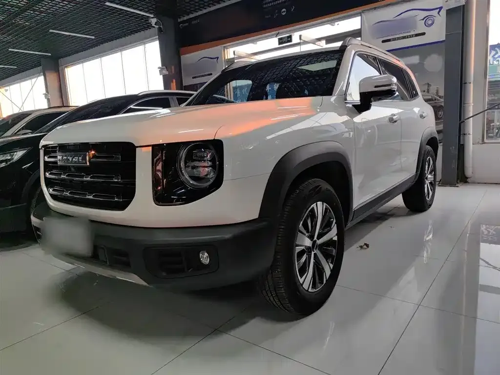 Haval Big Dog 2023 из CN, фото 10
