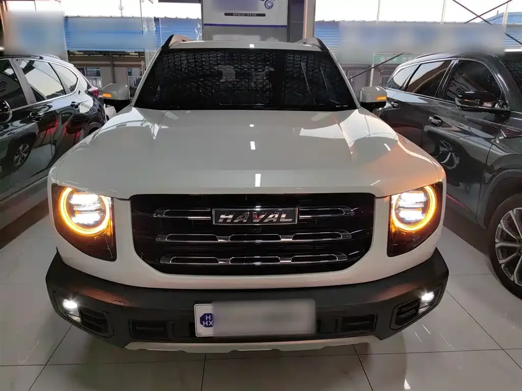 Haval Big Dog 2023 из CN, фото 7