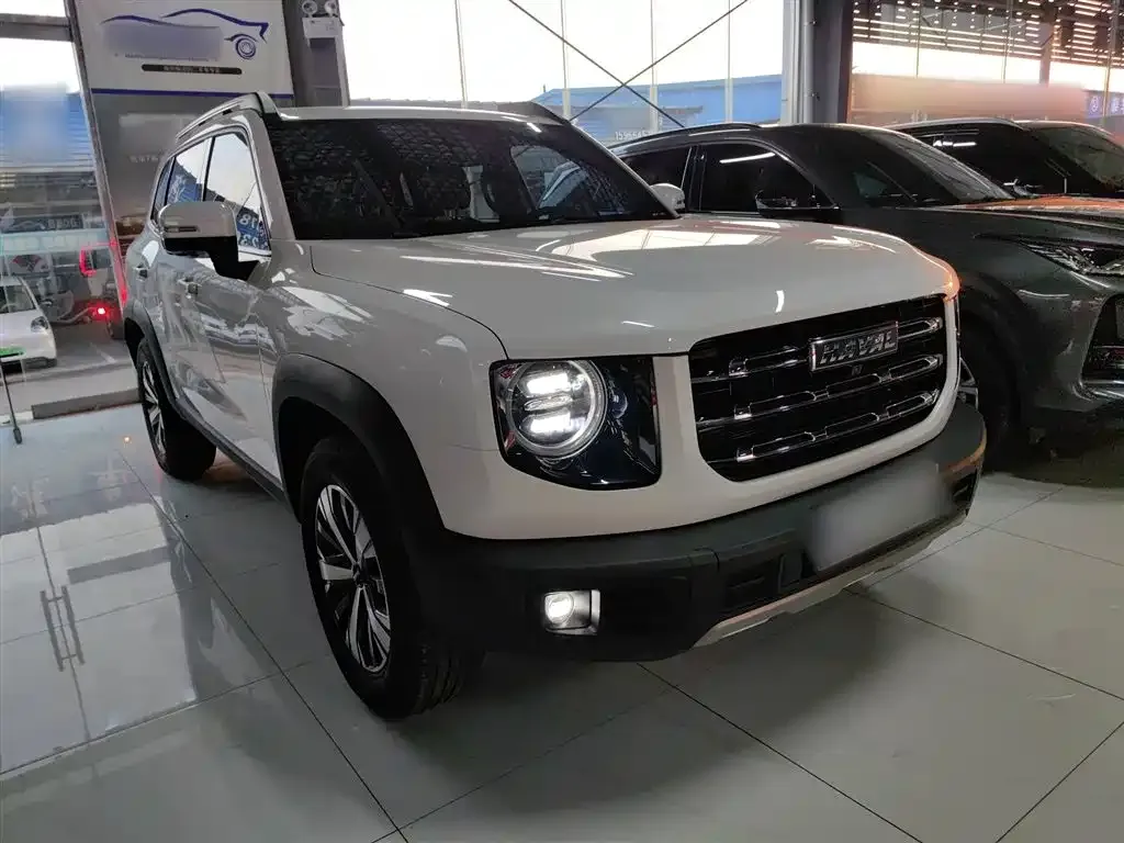 Haval Big Dog 2023 из CN, фото 5