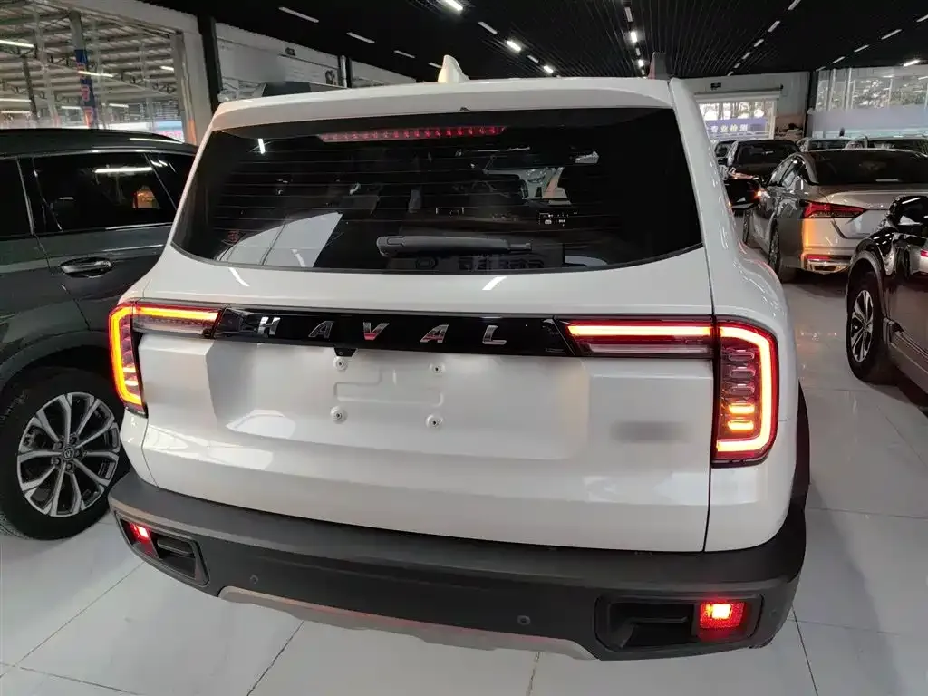 Haval Big Dog 2023 из CN, фото 9