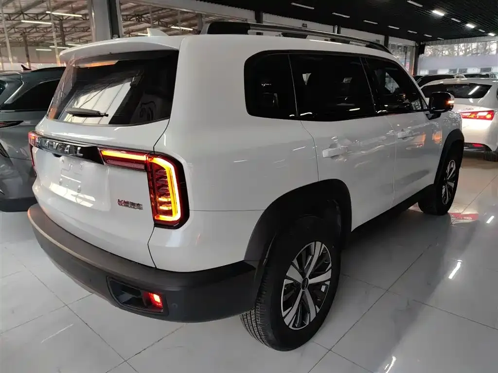 Haval Big Dog 2023 из CN, фото 4