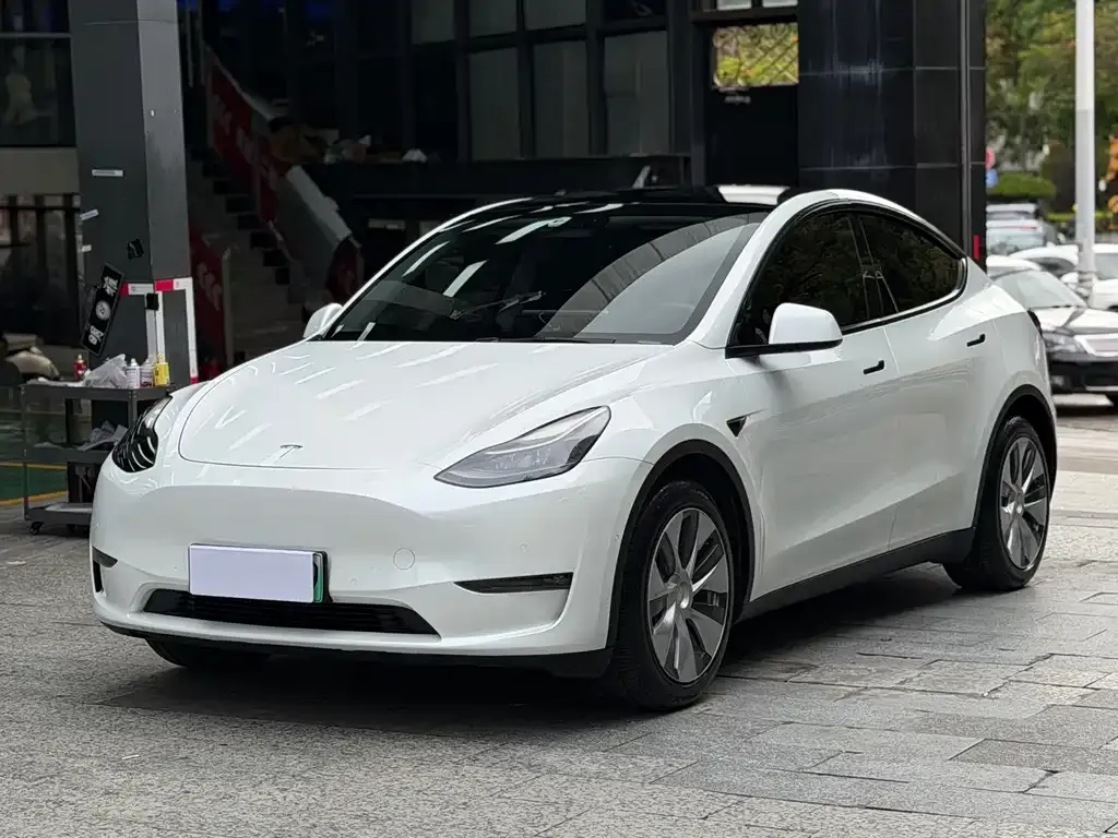 Tesla Model Y — фото 1
