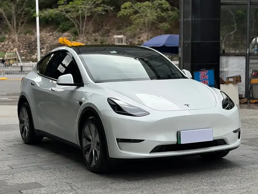 Tesla Model Y — фото 9