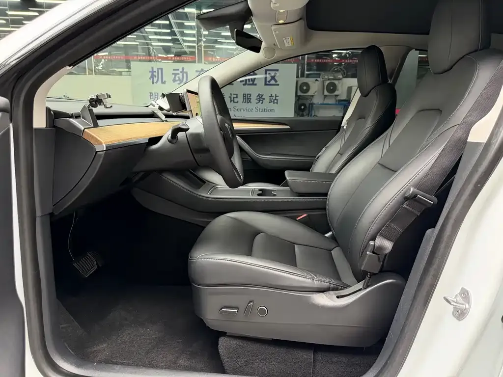 Tesla Model Y — фото 10