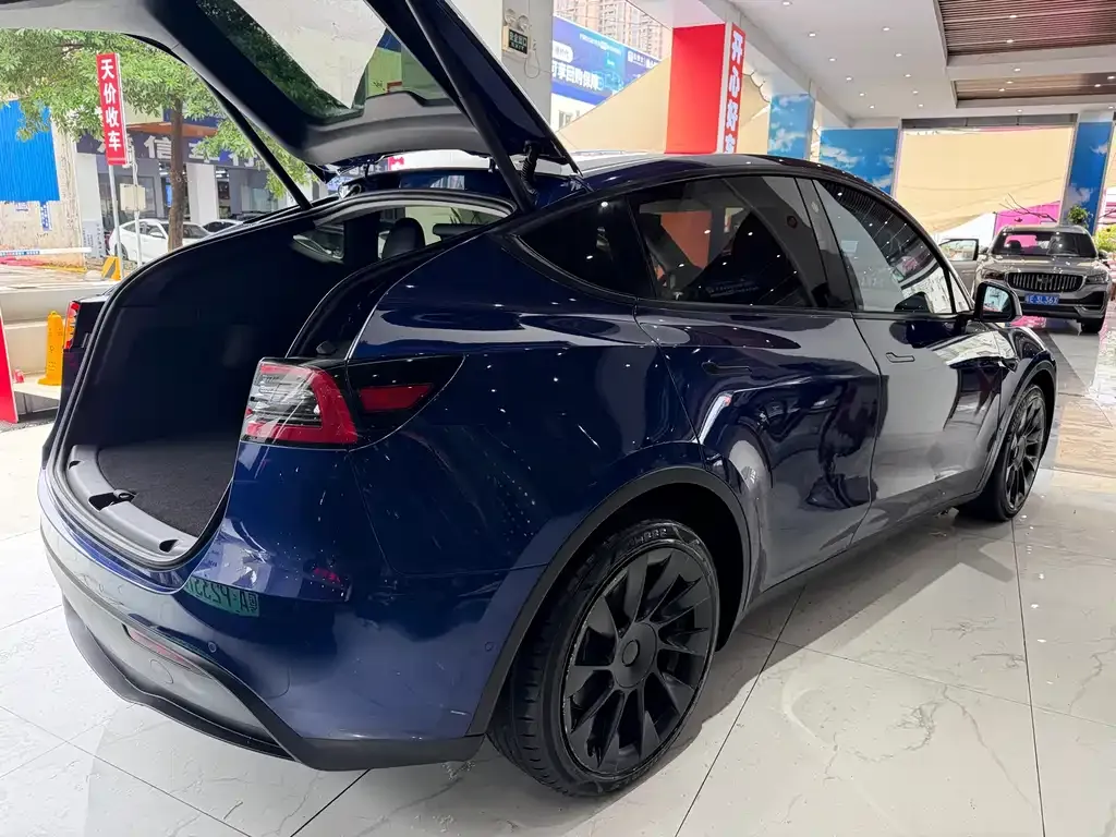 Tesla Model Y — фото 10