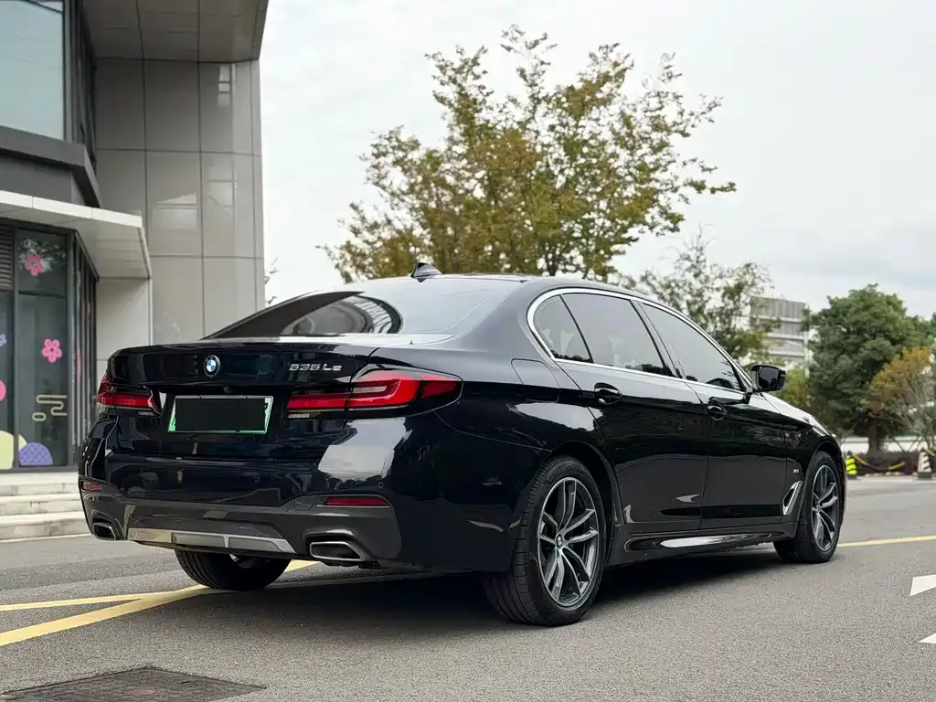 BMW 5 Series New Energy 2021 из CN, фото 3