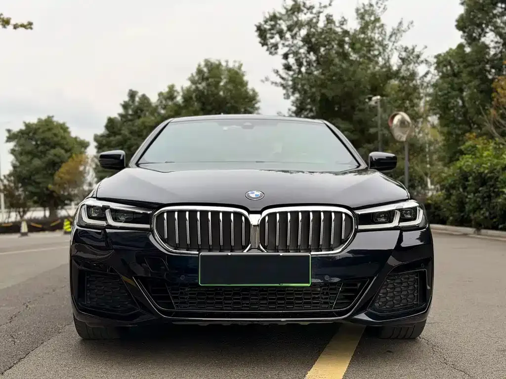 BMW 5 Series New Energy 2021 из CN, фото 2