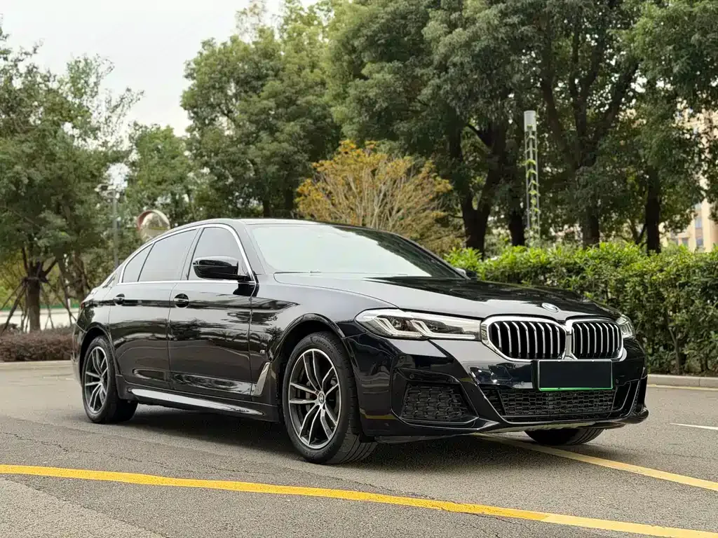 BMW 5 Series New Energy 2021 из CN, фото 10
