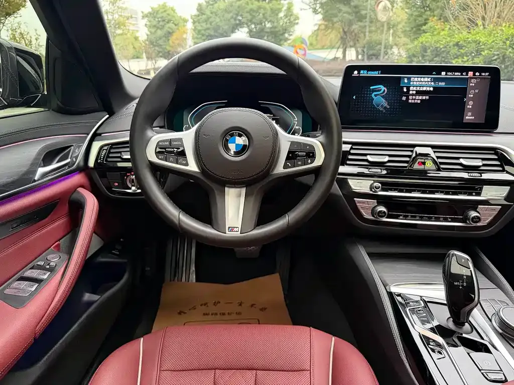 BMW 5 Series New Energy 2021 из CN, фото 4
