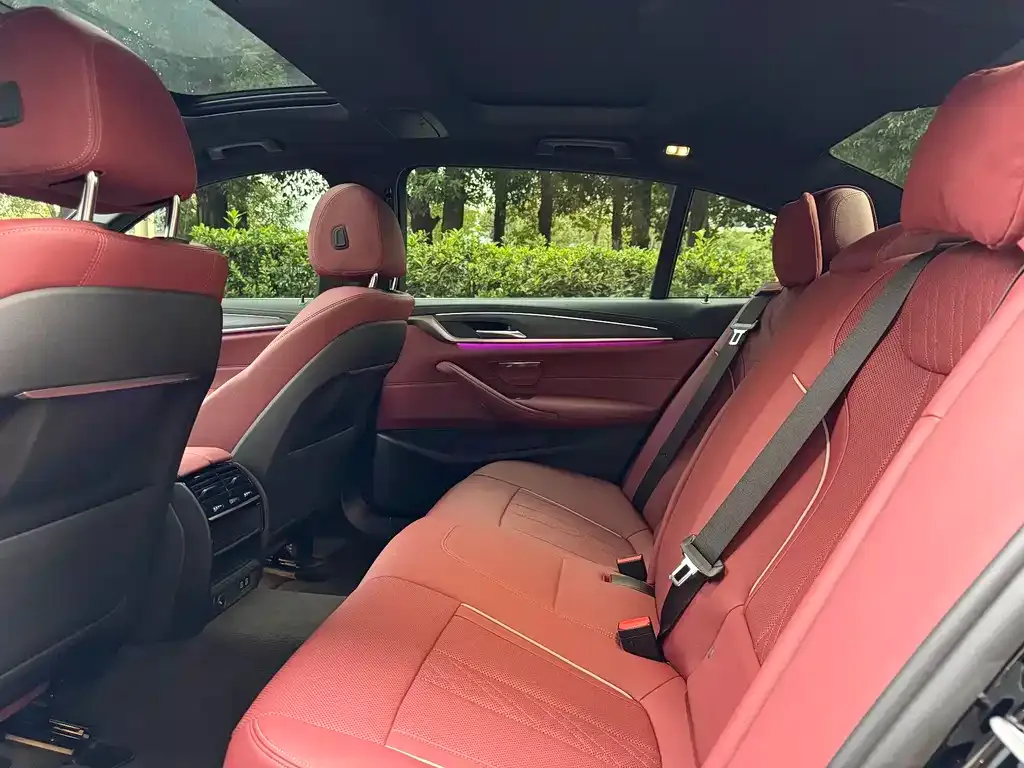 BMW 5 Series New Energy 2021 из CN, фото 6