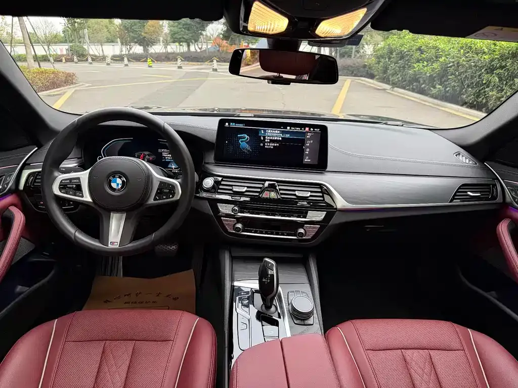 BMW 5 Series New Energy 2021 из CN, фото 5