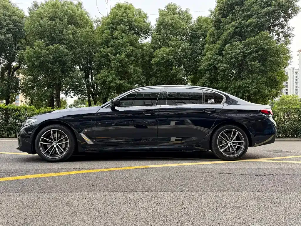 BMW 5 Series New Energy 2021 из CN, фото 9
