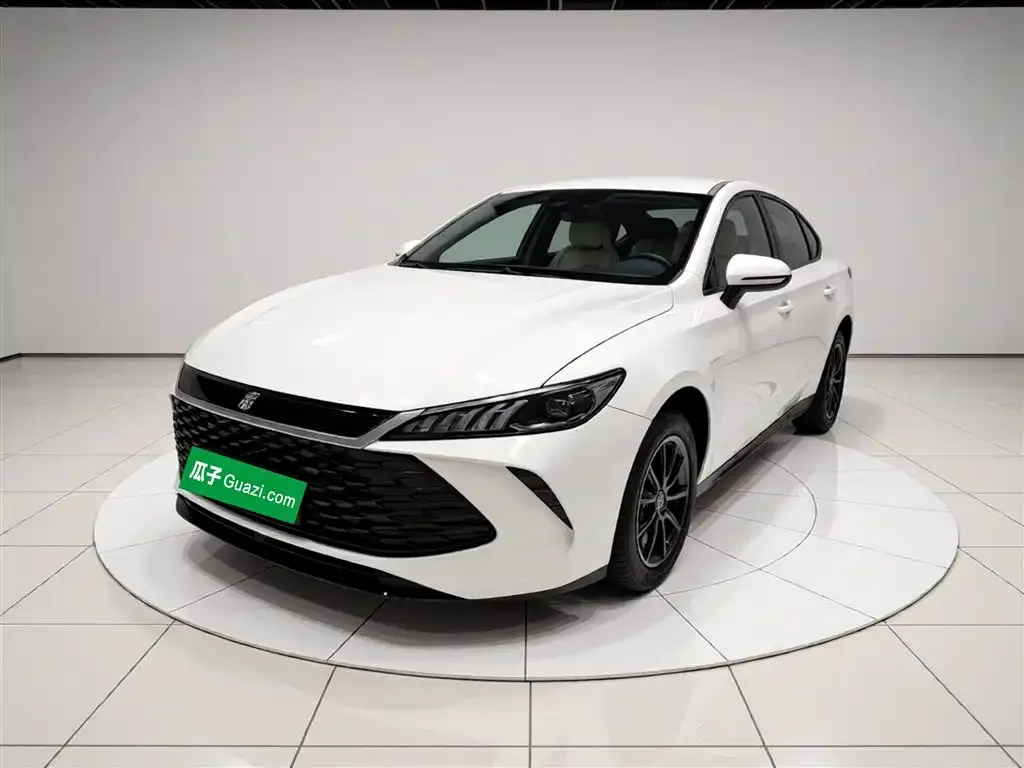 BYD Qin PLUS — фото 1