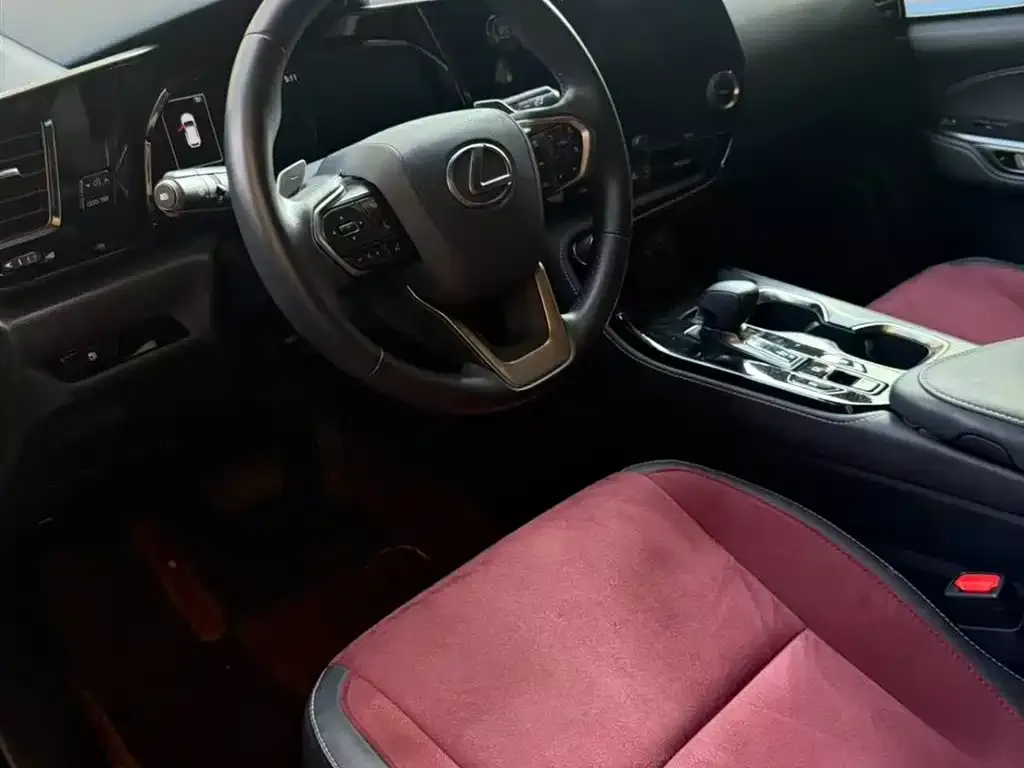 Lexus NX 2023 из CN, фото 4