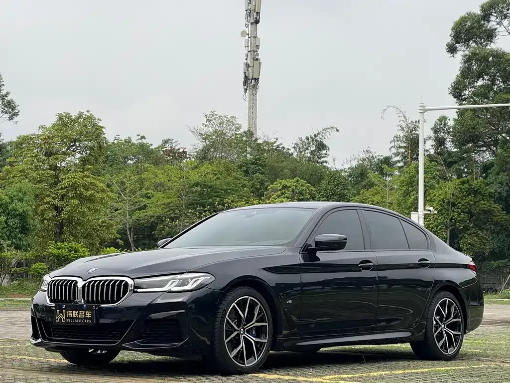 BMW 5 Series (Import) — фото 1