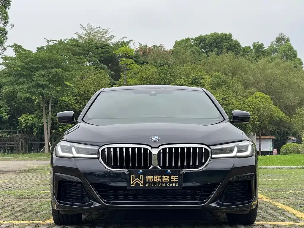 BMW 5 Series (Import) — фото 6