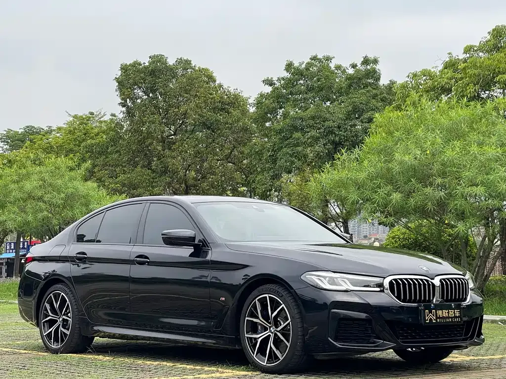 BMW 5 Series (Import) — фото 7
