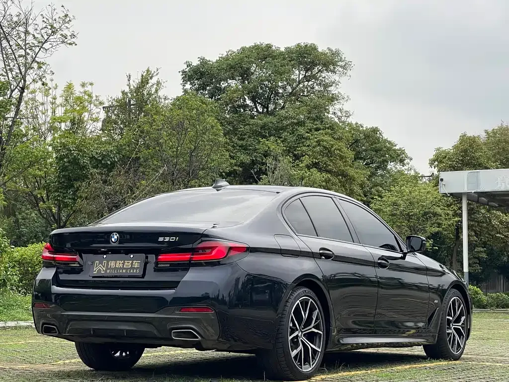 BMW 5 Series (Import) — фото 10