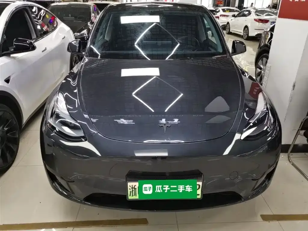 Tesla Model Y — фото 9